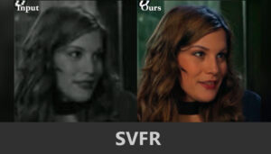 SVFR-AI-Stable-Video-Face-Restoration